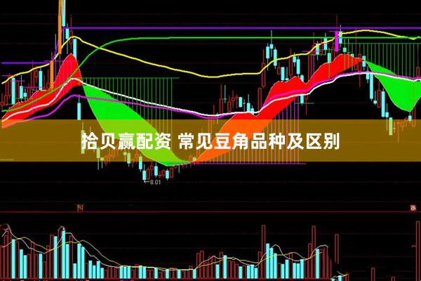 拾贝赢配资 常见豆角品种及区别