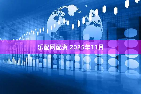 乐配网配资 2025年11月
